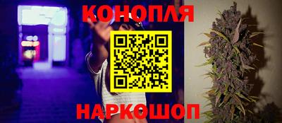 apvp Славгород