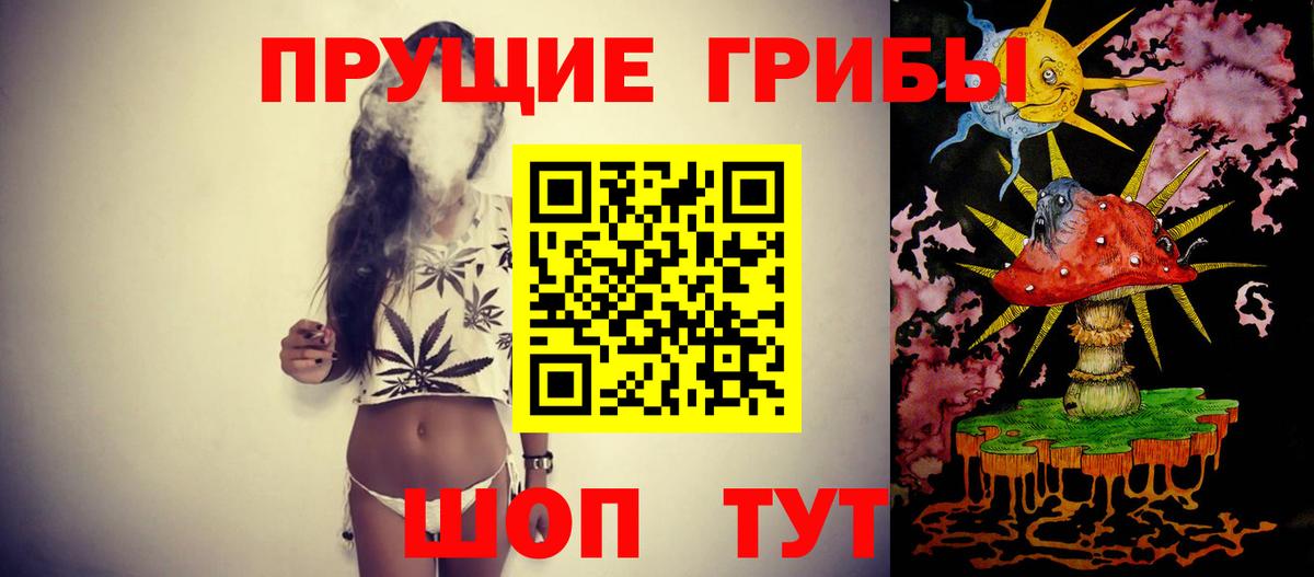 Пенза  Псилоцибиновые грибы MAGIC MUSHROOMS  Галлюциногенные грибы Psilocybe  Вход с VPN 